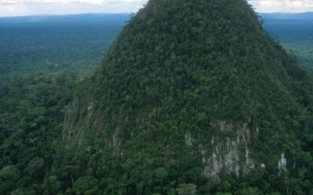 Sierra del Divisor: Un esfuerzo colaborativo para proteger una joya única de la Amazonía peruana