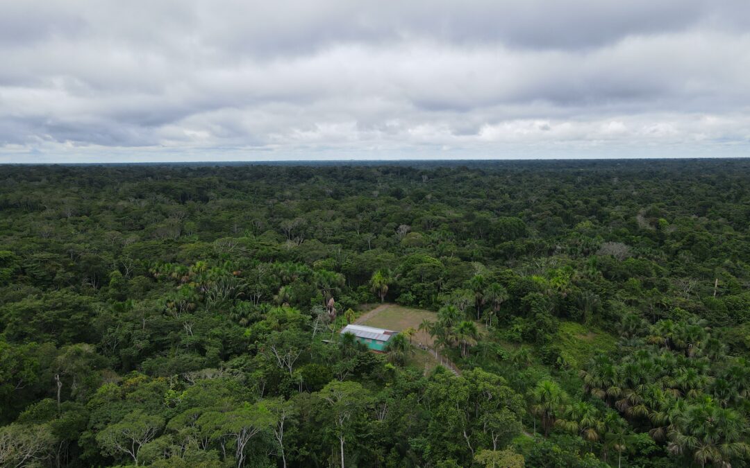 20 años de anDAR: derechos, naturaleza y gobernanza