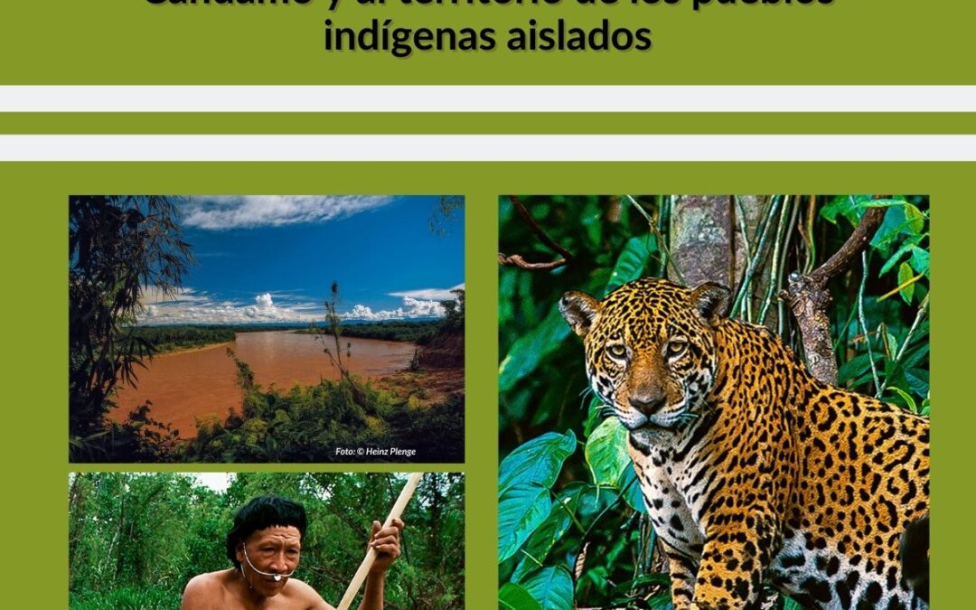 PRONUNCIAMIENTO PÚBLICO: 25 años después regresa la amenaza al Candamo y al territorio de los pueblos indígenas aislados