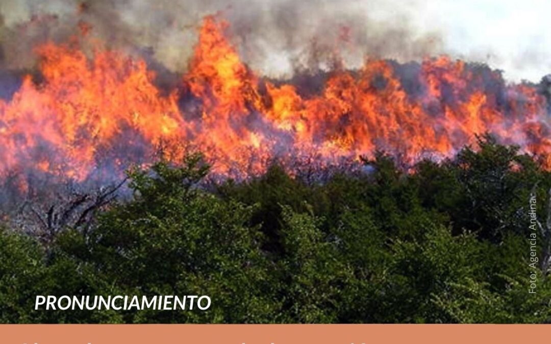 Llamado urgente ante la devastación por incendios forestales: Protejamos la vida, las Áreas Naturales Protegidas (ANP), los territorios indígenas y la Amazonía