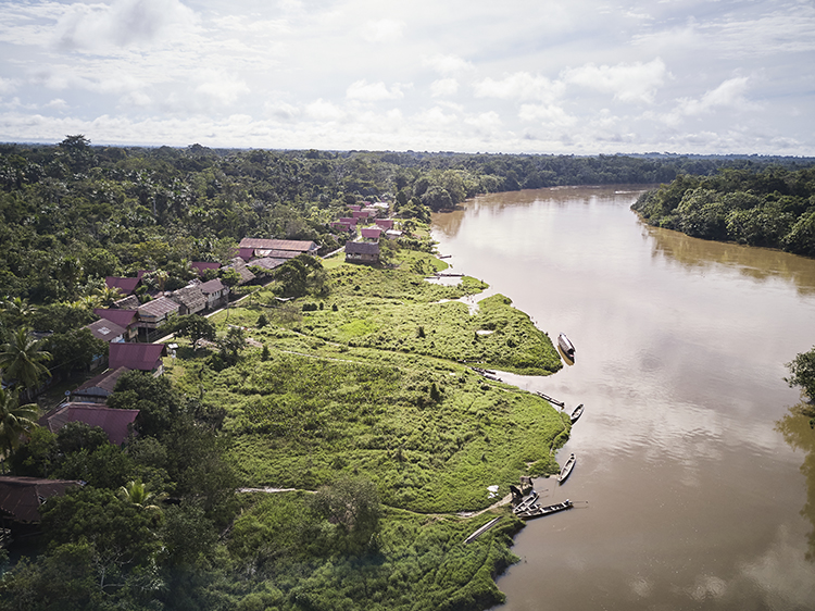 Solo los irracionales defienden explotar hidrocarburos en la Amazonía