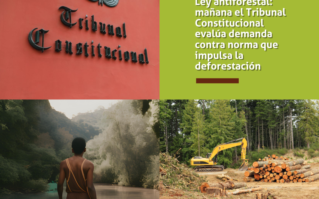 Ley antiforestal: mañana el Tribunal Constitucional evalúa demanda contra norma que impulsa la deforestación