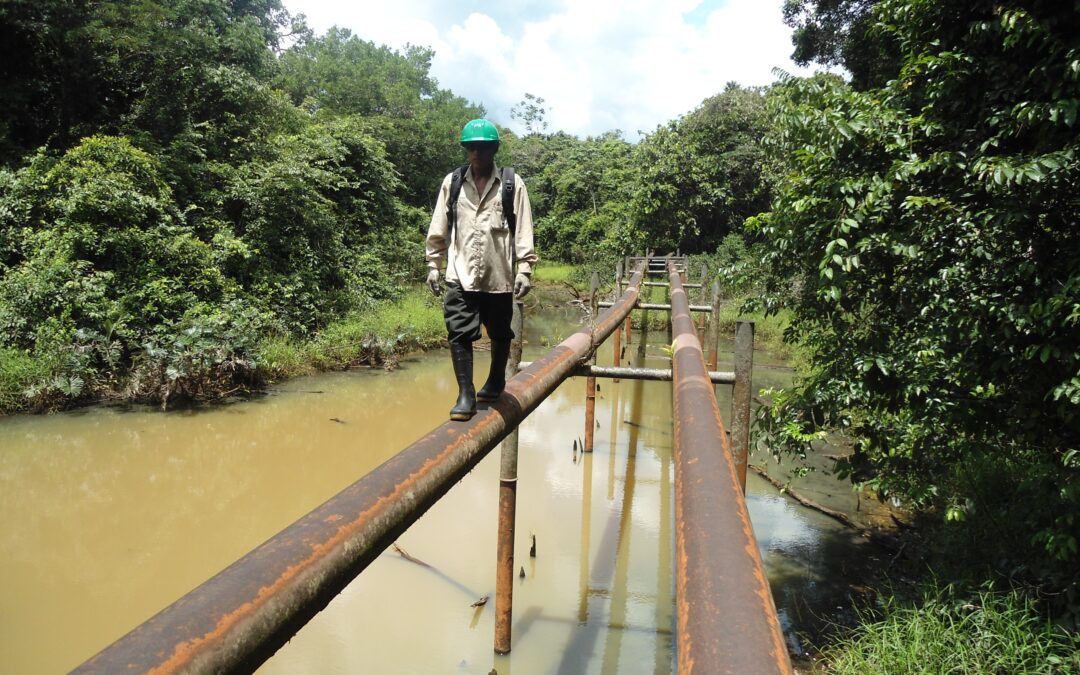 Intensifiquemos la lucha frente al cambio climático: Hidrocarburos y derechos en la Amazonía