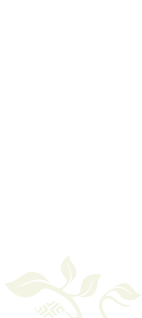 Hoja-2