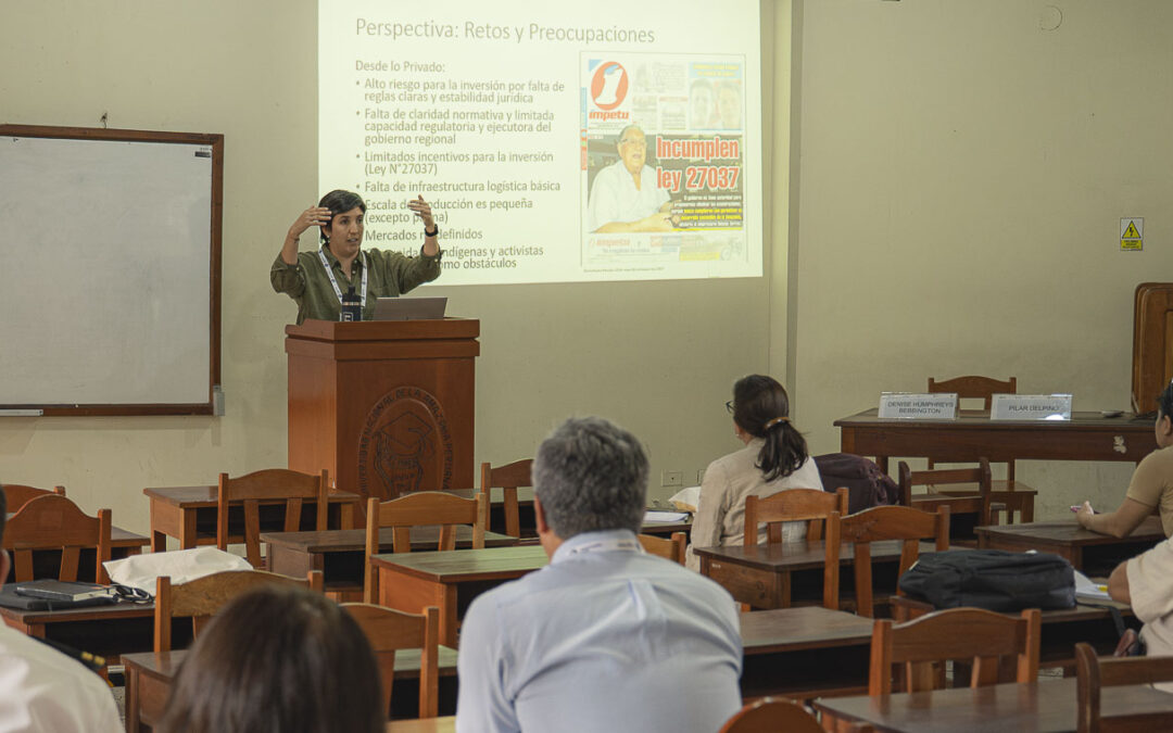 Carreteras amazónicas como oportunidades y amenazas para la conservación de los bosques amazónicos
