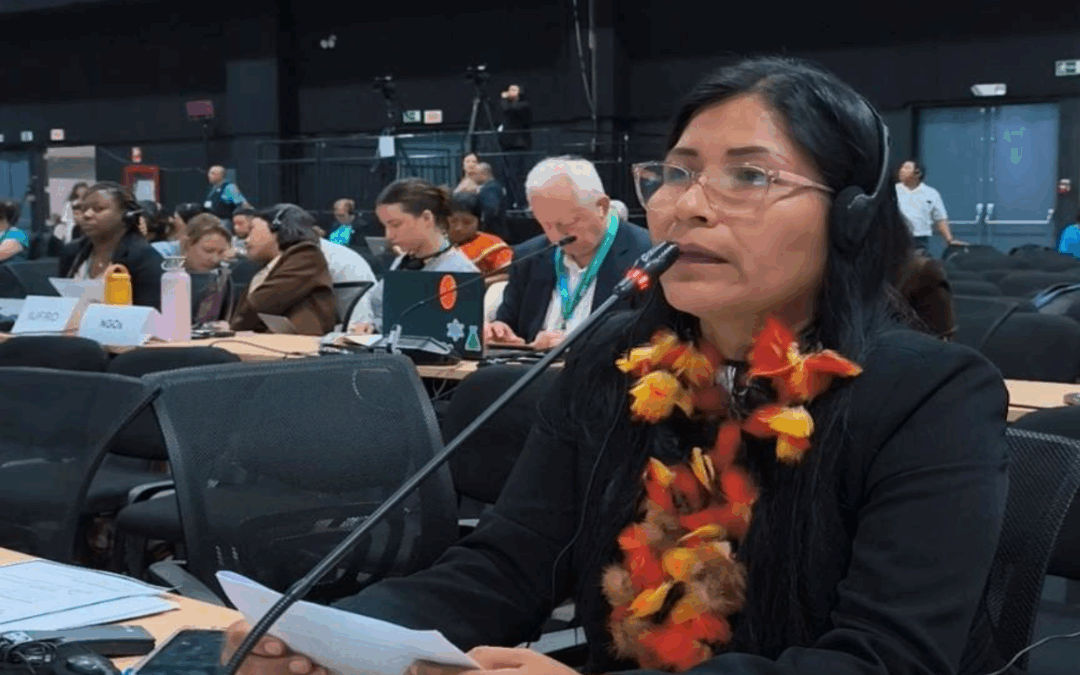 Innovación para la biodiversidad desde la experiencia y territorios: CORPI-SL  presenta criterios indígenas para la conservación en cumbre global en Panamá