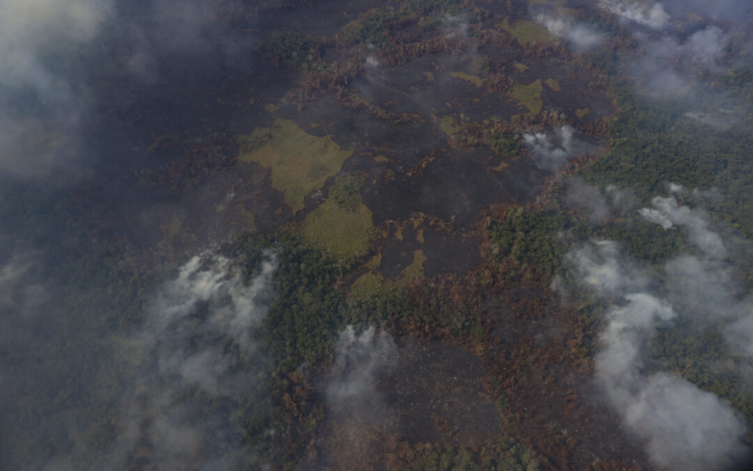 EL DESAFÍO DE LOS INCENDIOS FORESTALES Y LA NECESIDAD DE UN MANEJO INTEGRAL DEL FUEGO