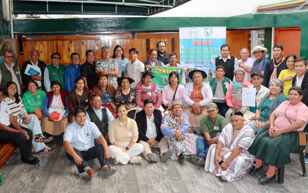 Política Nacional de Pueblos Indígenas al 2040: organizaciones impulsan su implementación en Perú