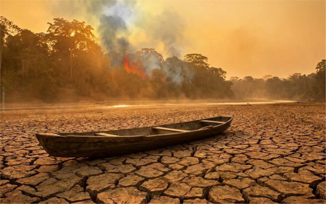 El Niño, la Amazonía y todos